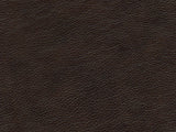 BT - Brosmer Leather Reclining Chair