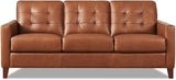 AM - Aiden Leather Sofa